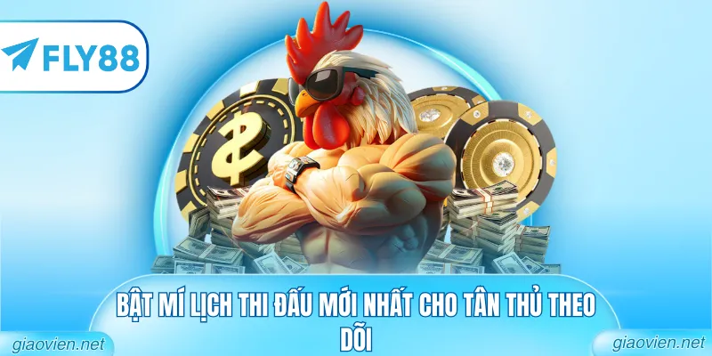 Đá Gà C2 C3 C4 Hôm Nay Từ Những Bồ Gà Uy Tín Nhất Khu Vực 1 Bật mí lịch thi đấu mới nhất cho tân thủ theo dõi