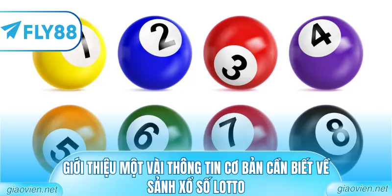 Xổ Số Lotto - Hành Trình Tìm Kiếm Vận May Đỉnh Cao 2026 1 Giới thiệu một vài thông tin cơ bản cần biết về sảnh xổ số lotto