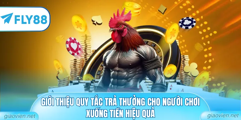 Đá Gà Chọi Thomo Đẳng Cấp Từ Các Bồ Gà Danh Tiếng Nhất 1 Giới thiệu quy tắc trả thưởng cho người chơi xuống tiền hiệu quả