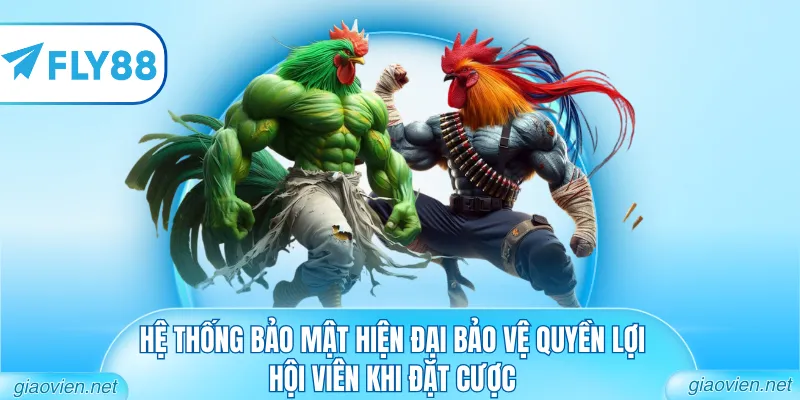 Đá Gà FLY88 - Đấu Trường Trực Tuyến Đẳng Cấp Và Uy Tín 3 Hệ thống bảo mật hiện đại bảo vệ quyền lợi hội viên khi đặt cược
